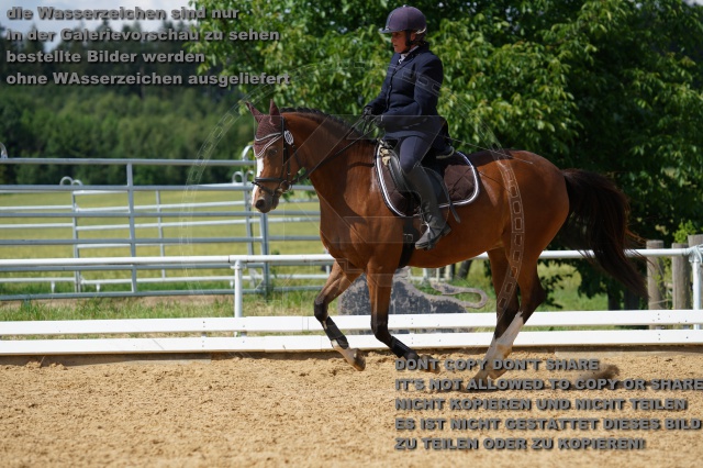 s_K3F04778.JPG